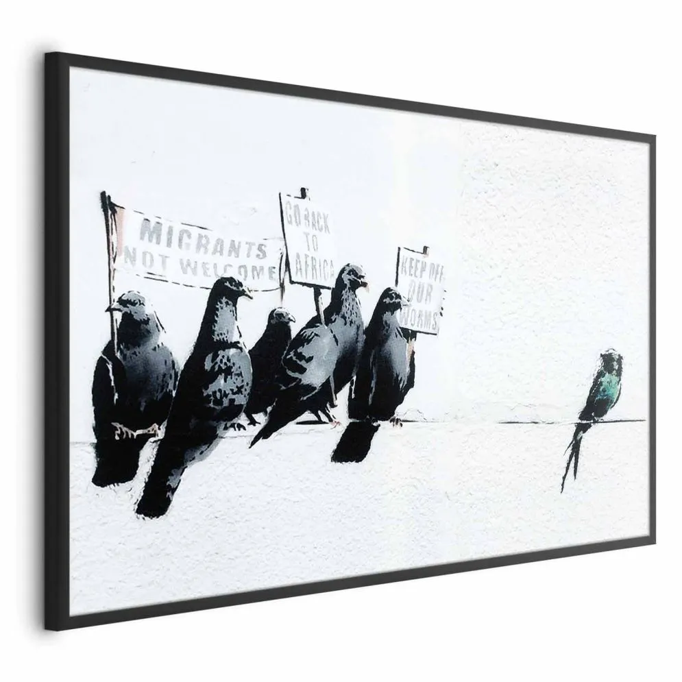 Plakat Ksenofobiczne gołębie 60x40 cm z ramą czarną bez marginesu | MIRAT.