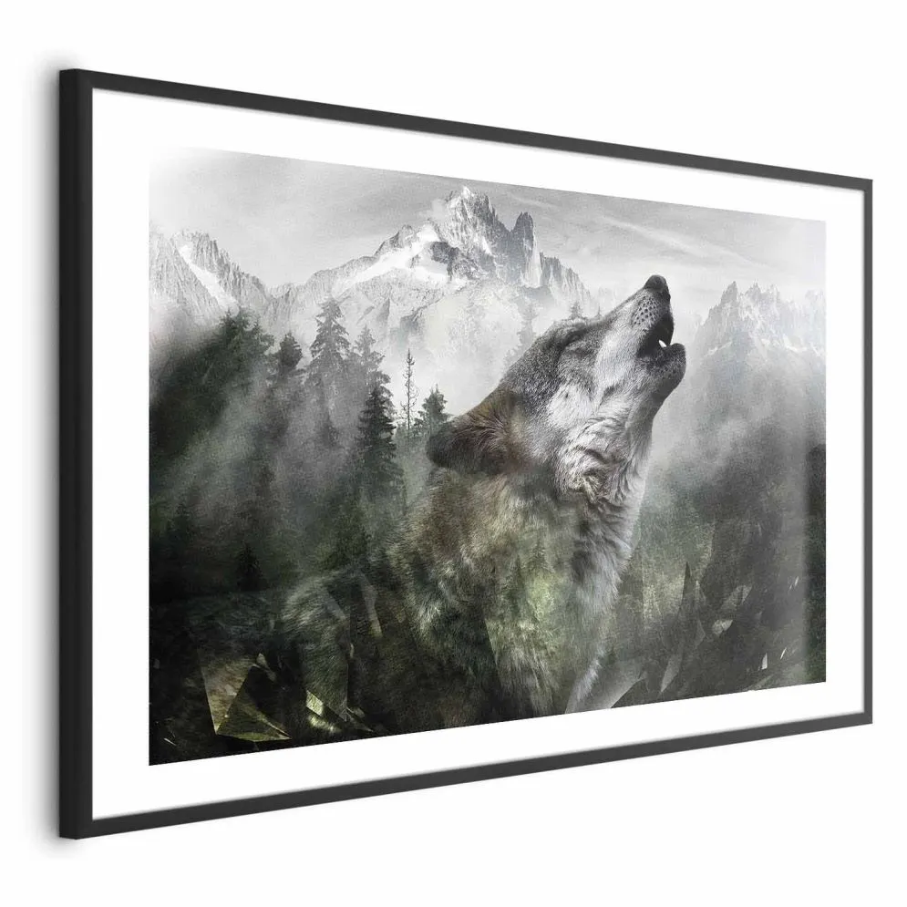 Plakat Wyjący wilk 30x21 cm z ramą czarną z marginesem | MIRAT.