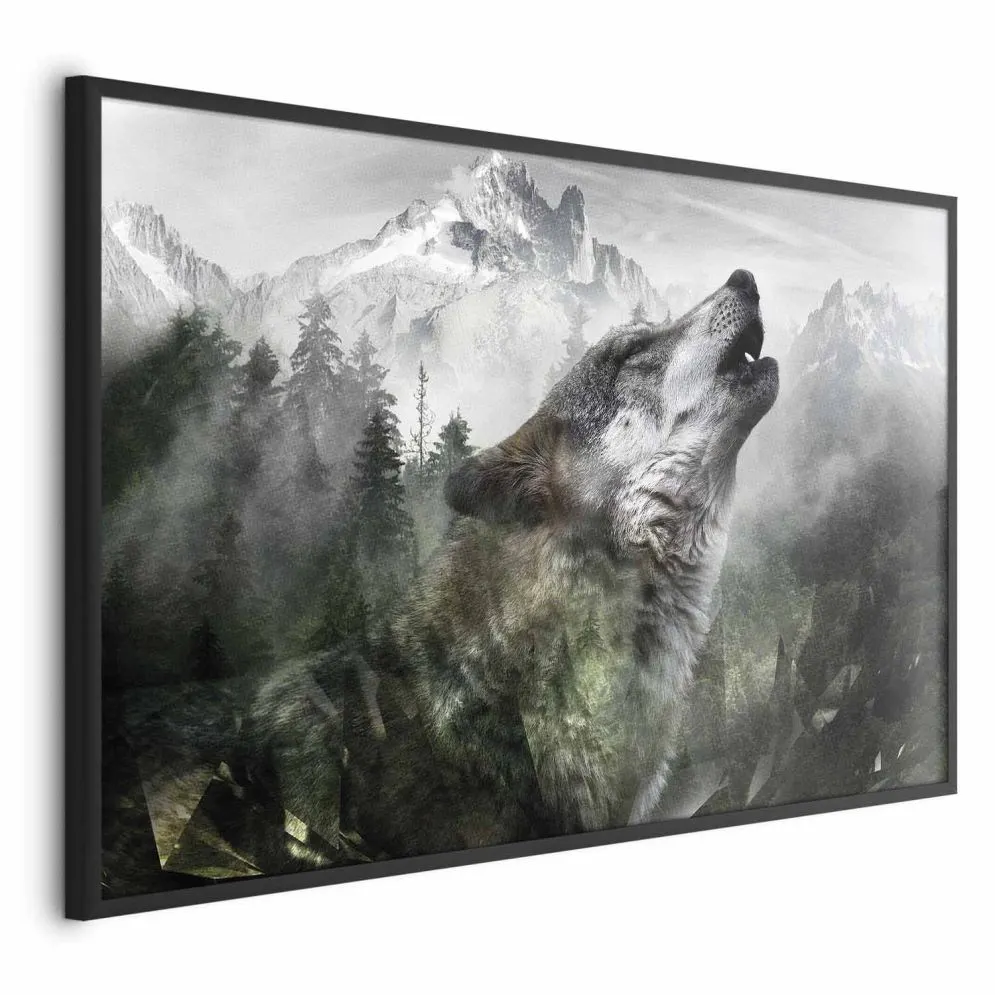 Plakat Wyjący wilk 30x21 cm z ramą czarną bez marginesu | MIRAT.