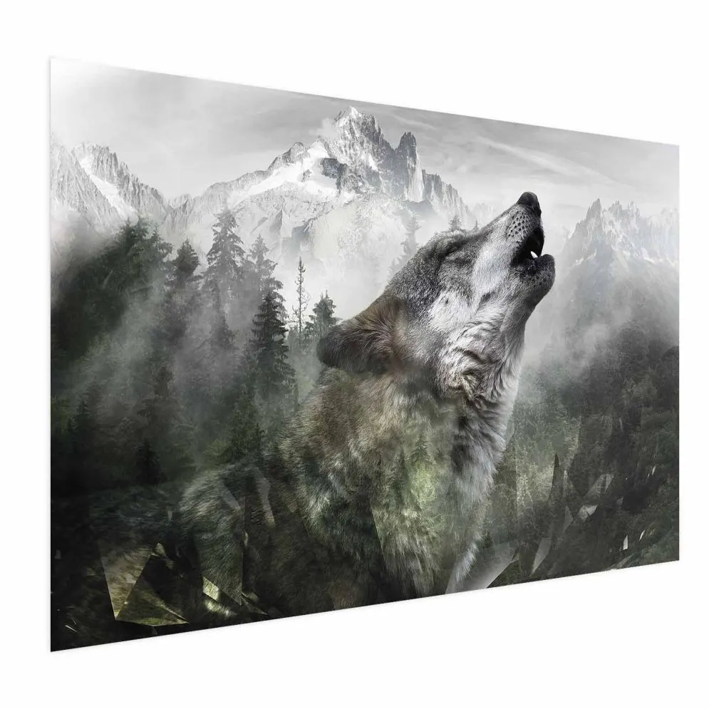 Plakat Wyjący wilk 42x29,7 cm bez ramy bez marginesu | MIRAT.