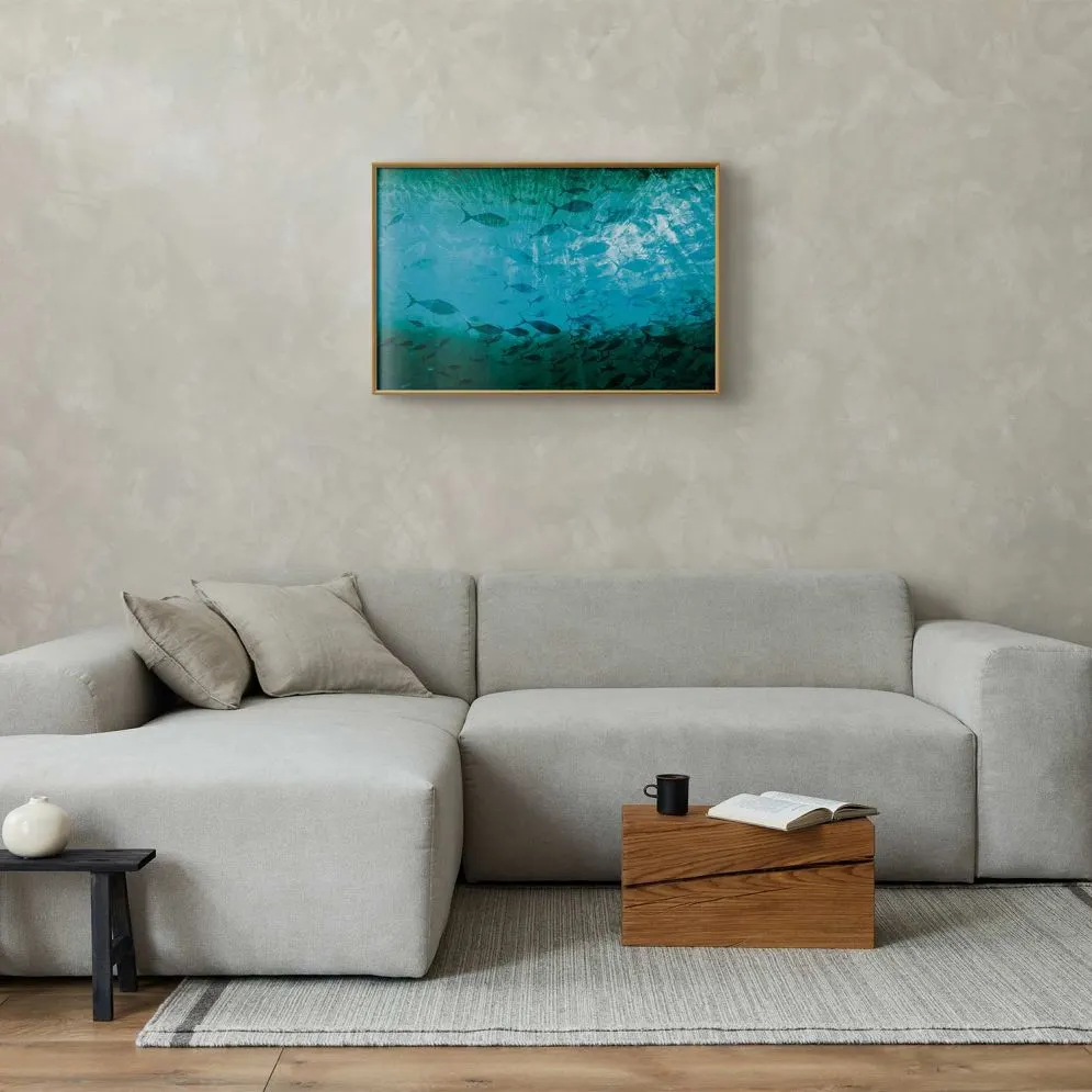 Plakat Gromada ryb 30x21 cm z ramą złotą bez marginesu | MIRAT.