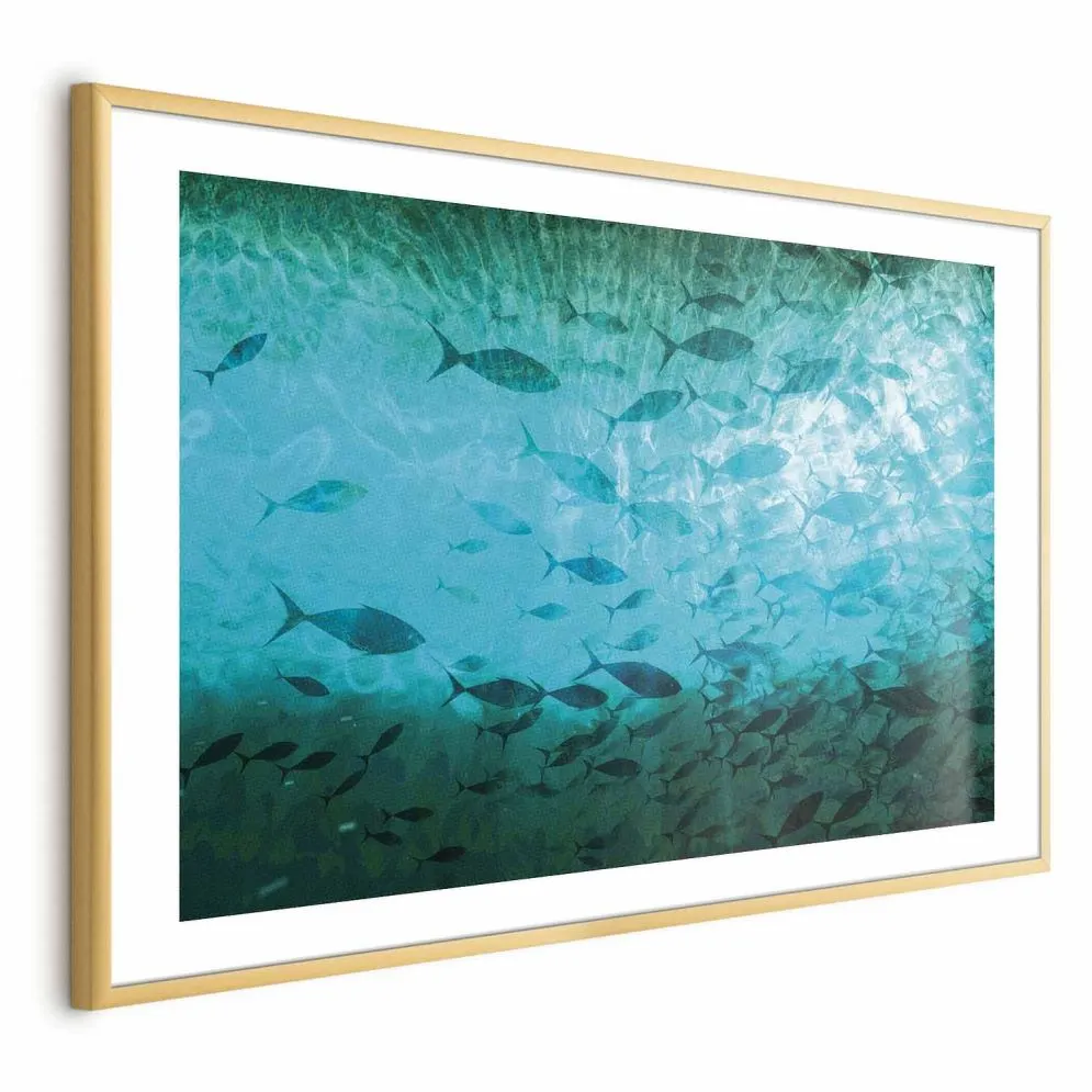 Plakat Gromada ryb 90x60 cm z ramą złotą z marginesem | MIRAT.
