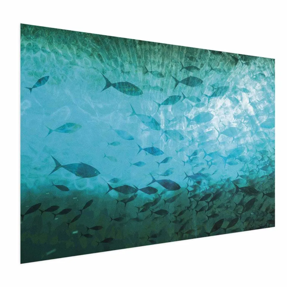 Plakat Gromada ryb 60x40 cm bez ramy bez marginesu | MIRAT.