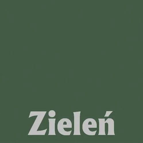 Łóżko dziecięce GRINO 180x80 białe/zielone dwuosobowe z barierką I sklep meblowy MIRAT.