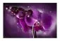 Fototapeta - Baśń i orchidea-2