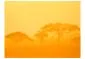 Fototapeta - Orange savanna-2