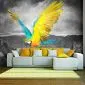 Fototapeta - Exotic parrot-1