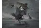 Fototapeta - Cała w piórkach-2