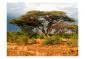  Kenia-1