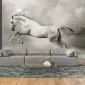 Fototapeta - Dziki ogier-1