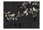 Fototapeta - Little birds-2