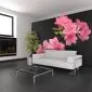 Fototapeta - Azalea in Black-1