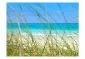 Fototapeta - Tropical journey-2