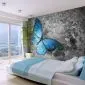 Fototapeta - Blue butterfly-1