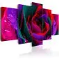 Obraz - Multicoloured rose-1