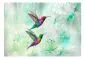Fototapeta - Kolorowe kolibry (zielony)-2