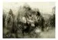 Fototapeta - Drapieżnik z gór (beżowy)-2