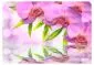 Fototapeta - Orchidee w kolorze lila-2