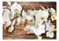 Fototapeta - Leśna orchidea-2