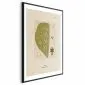 Plakat abstrakcyjne drzewo 40 x 60 cm z ramą czarną | MIRAT.  kolekcja b-A-0396-ao-a