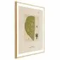 Plakat abstrakcyjne drzewo 60 x 90 cm z ramą złotą | MIRAT.  kolekcja b-A-0396-ao-a