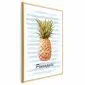 Plakat Ananas i paski 21x30cm z ramą złotą bez marginesu | MIRAT. kolekcja b-B-0348-ao-a