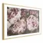Plakat Różowe piwonie 42x29,7 cm z ramą złotą z marginesem | MIRAT.