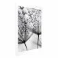 Plakat Rosa 40x60 cm bez ramy z marginesem | MIRAT.