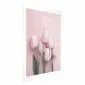Plakat Sześć tulipanów 21x30 cm bez ramy z marginesem | MIRAT.