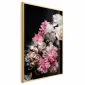 Plakat Bukiet w mroku 40x60 cm z ramą złotą bez marginesu | MIRAT.