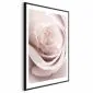 Plakat Porcelanowa róża 60x90 cm z ramą czarną z marginesem | MIRAT.