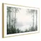 Plakat Lasek i staw 60x40 cm z ramą złotą z marginesem | MIRAT.