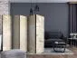 Parawan dwustronny Abstrakcje 225x172 cm 5-częściowy biały | MIRAT.