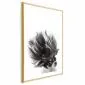 Plakat Chihuahua 40x60 cm z ramą złotą z marginesem | MIRAT.