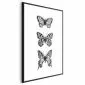 Plakat Trzy motyle 40x60 cm z ramą czarną bez marginesu | MIRAT.