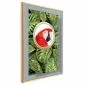 Plakat Papuga w dżungli 60x90 cm z ramą złotą bez marginesu | MIRAT.