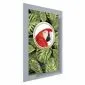 Plakat Papuga w dżungli 60x90 cm bez ramy bez marginesu | MIRAT.