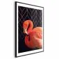 Plakat Flaming solo 29