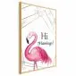 Plakat Hi flamingo 29,7x42 cm z ramą złotą bez marginesu | MIRAT.