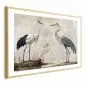 Plakat Ptaki z ryciny 90x60 cm z ramą złotą z marginesem | MIRAT.