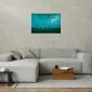 Plakat Gromada ryb 60x40 cm bez ramy bez marginesu | MIRAT.