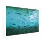 Plakat Gromada ryb 60x40 cm bez ramy z marginesem | MIRAT.