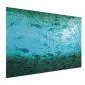 Plakat Gromada ryb 60x40 cm bez ramy bez marginesu | MIRAT.