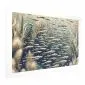 Plakat Oceaniczna przyroda 90x60 cm bez ramy z marginesem | MIRAT.
