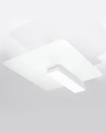 Name