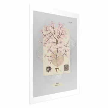Plakat Tajemnicze drzewko 21x30 cm bez ramy z marginesem