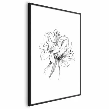 Plakat Rysowane kwiaty 29,7x42 cm z ramą czarną z marginesem