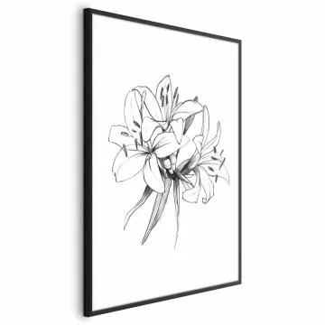 Plakat Rysowane kwiaty 40x60 cm z ramą czarną bez marginesu