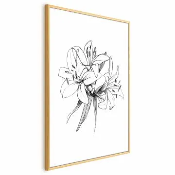 Plakat Rysowane kwiaty 60x90 cm z ramą złotą bez marginesu