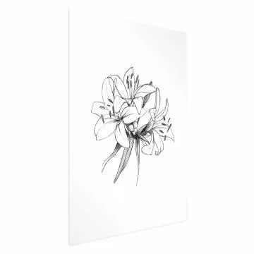 Plakat Rysowane kwiaty 40x60 cm bez ramy z marginesem